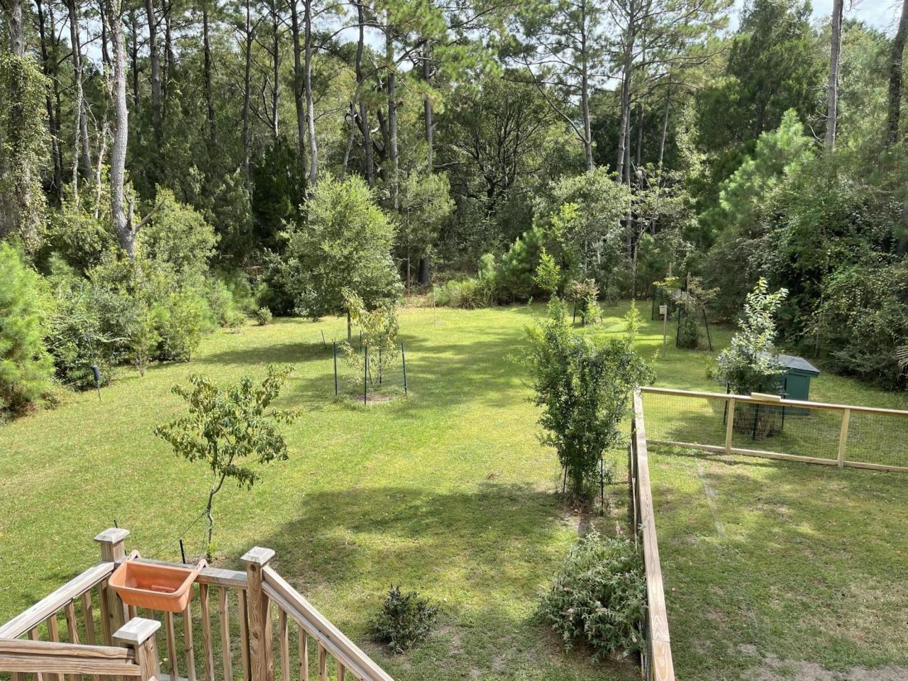 325 Mcclellan Avenue Photo 45