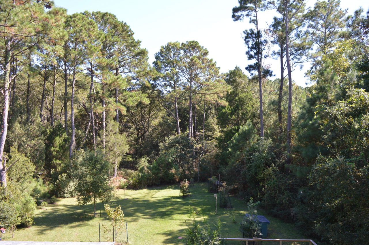 325 Mcclellan Avenue Photo 51