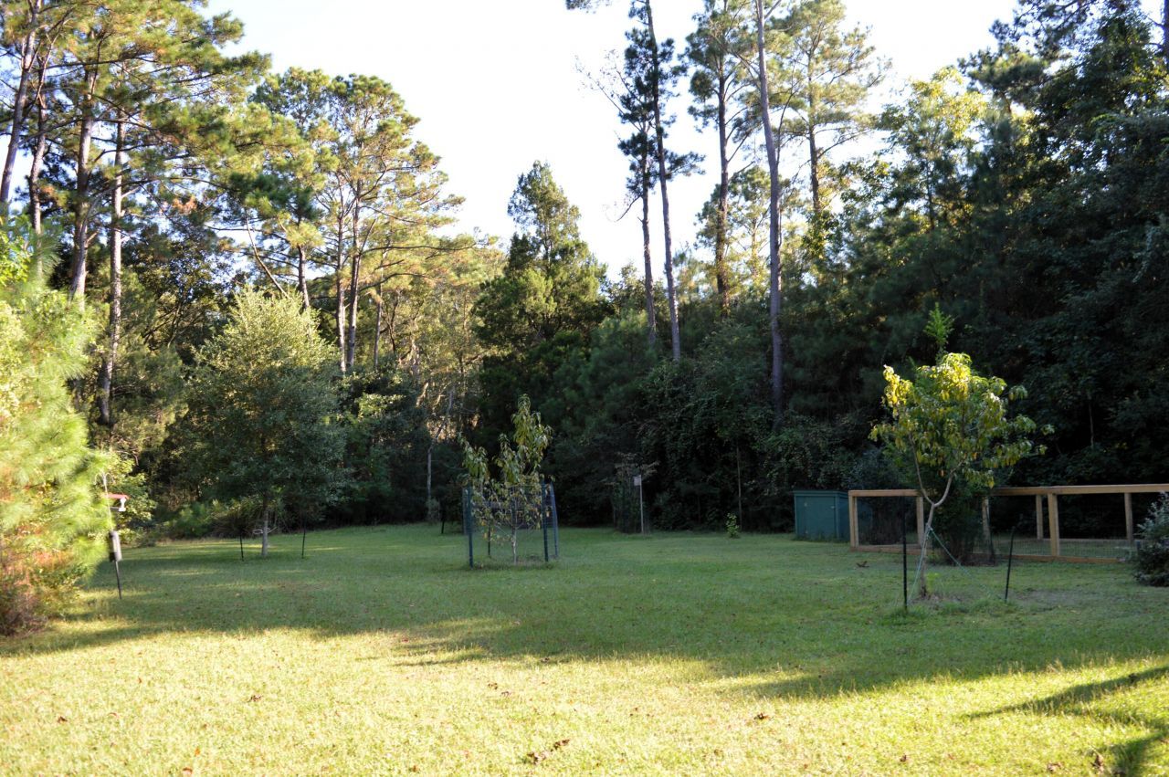 325 Mcclellan Avenue Photo 52