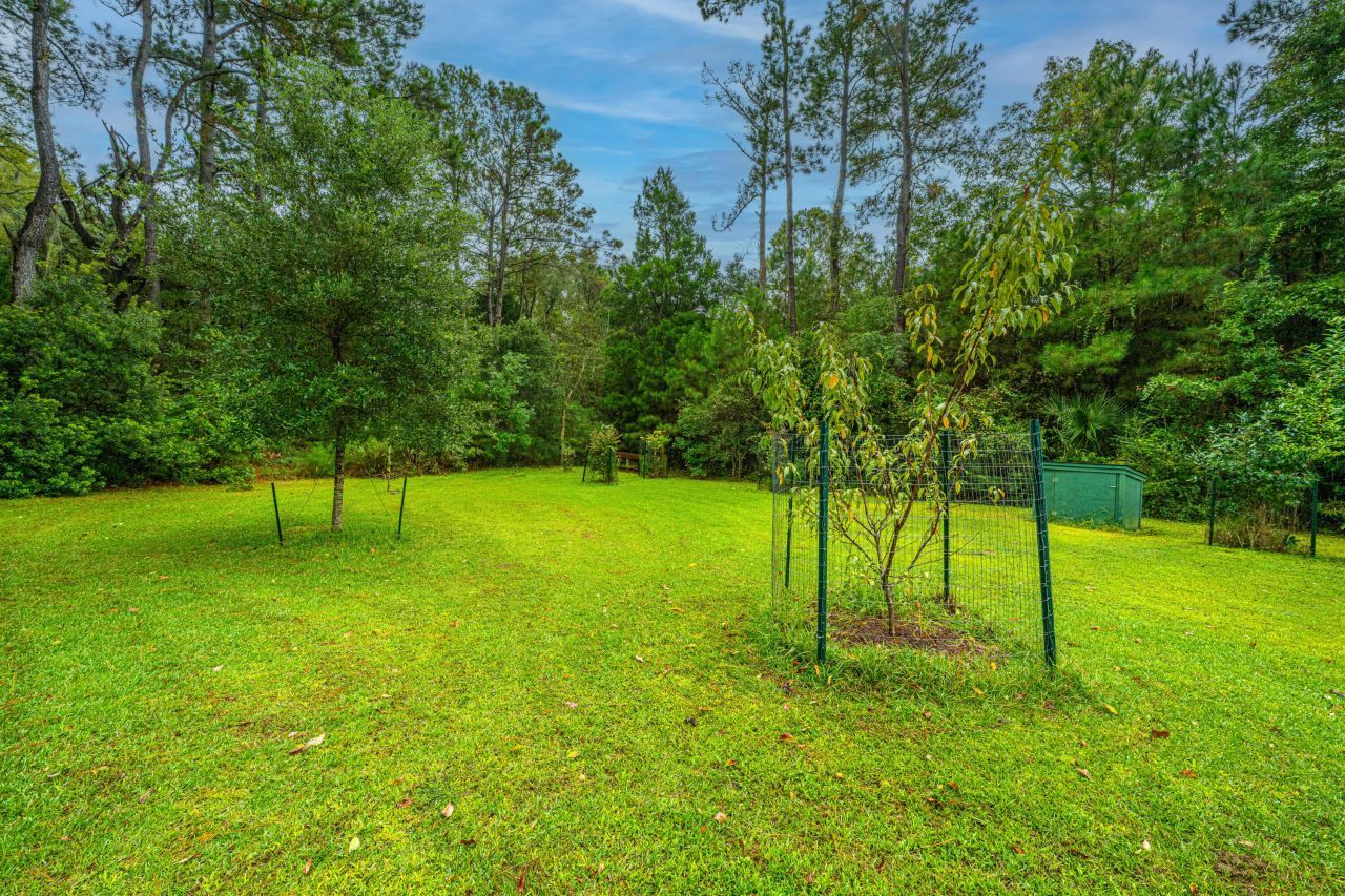 325 Mcclellan Avenue Photo 54