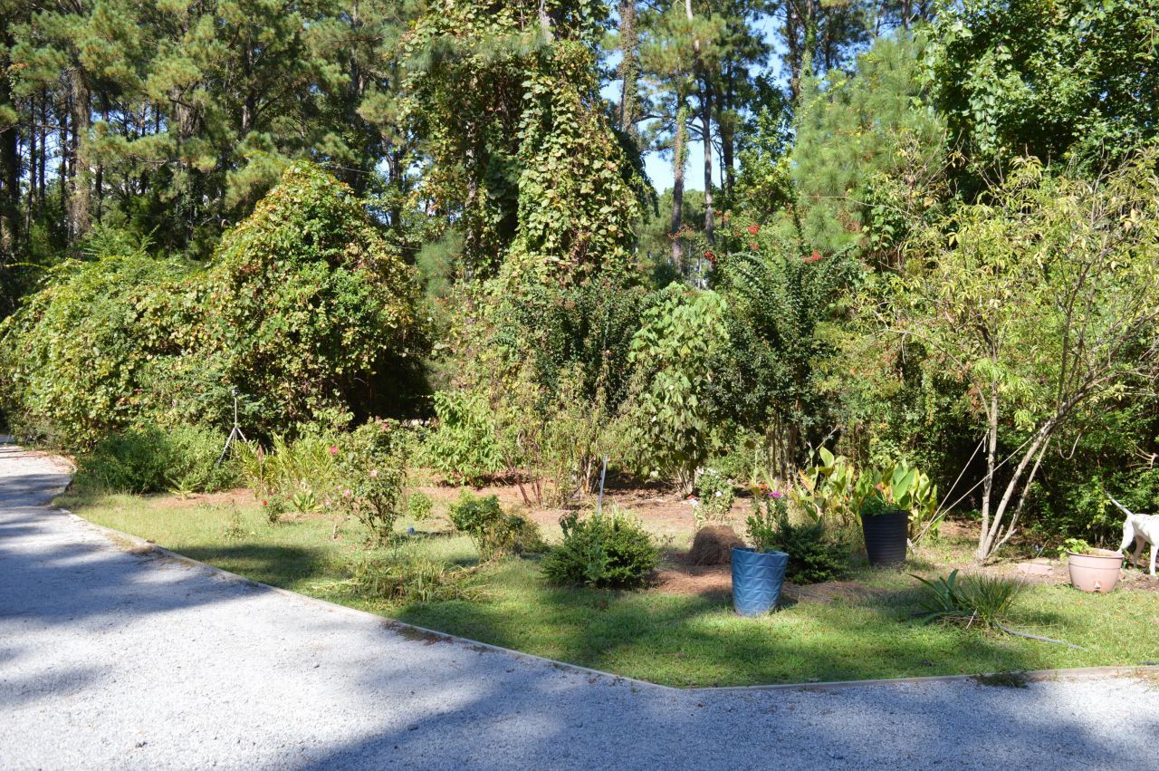 325 Mcclellan Avenue Photo 57