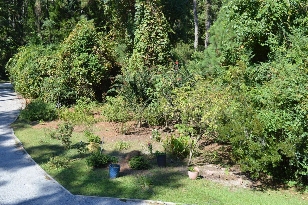 325 Mcclellan Avenue Photo 6