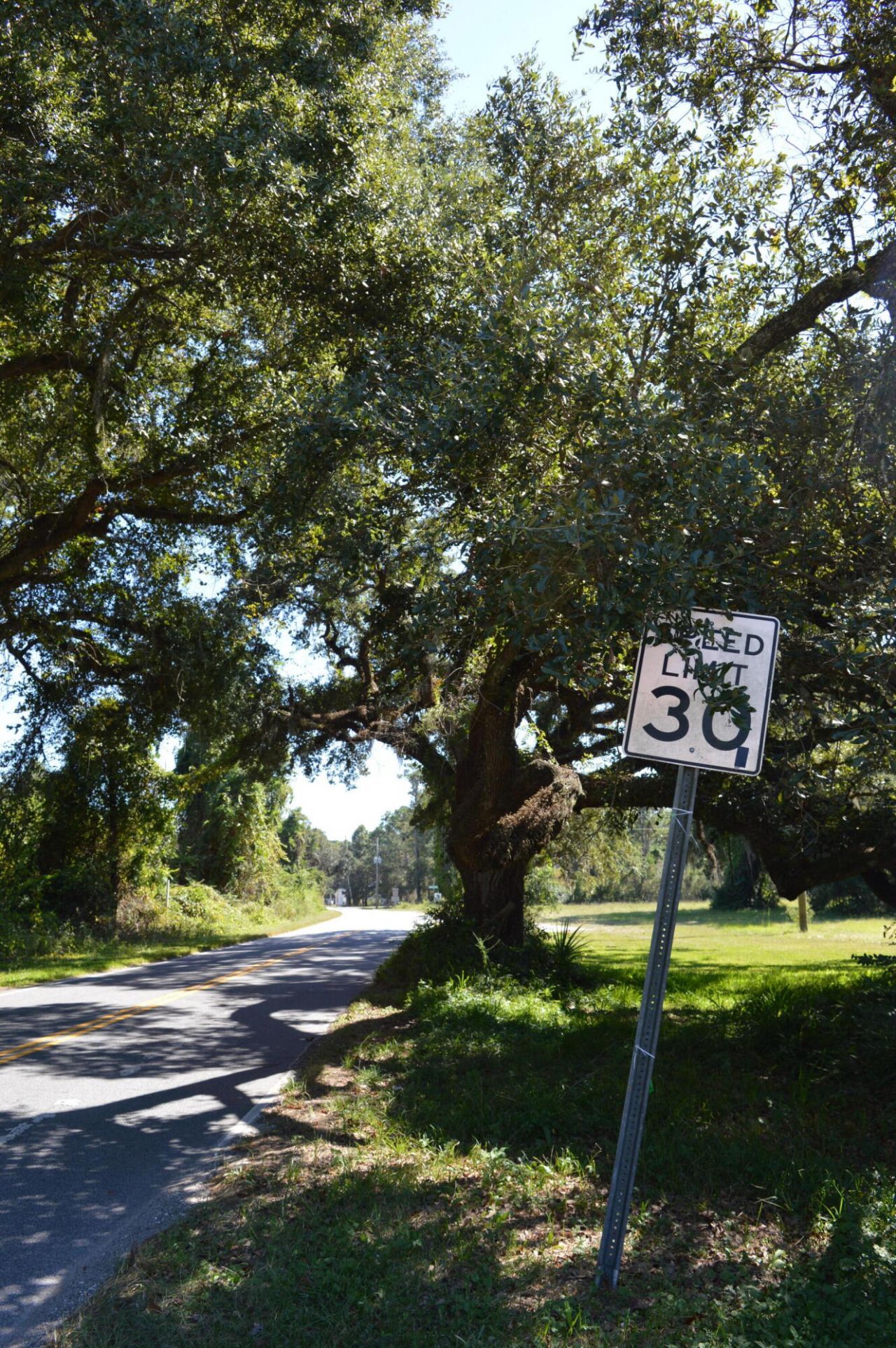 325 Mcclellan Avenue Photo 61