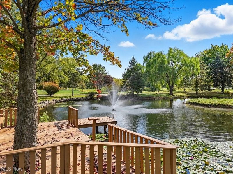 4747 Sharon Copley Road, Medina, OH 44256 Photo 11