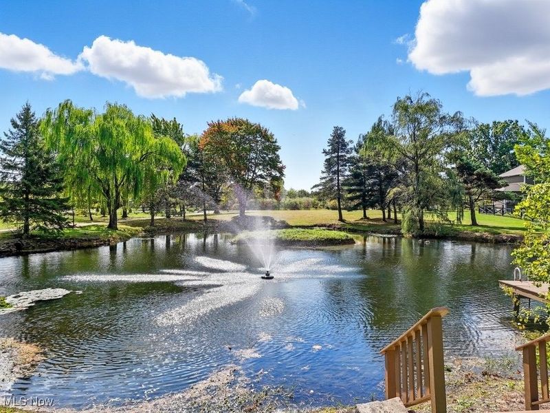 4747 Sharon Copley Road, Medina, OH 44256 Photo 12