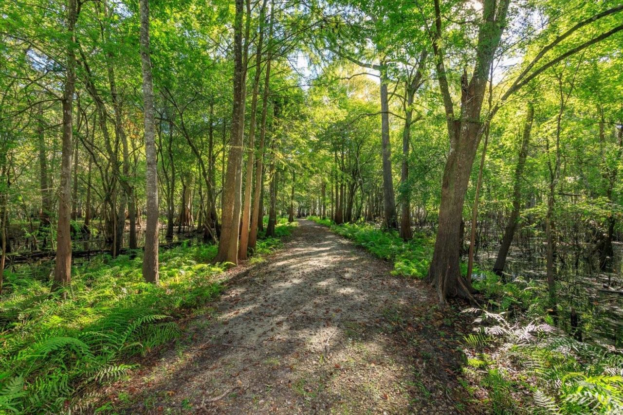 583 Winona Drive, Geneva, FL 32732 Photo