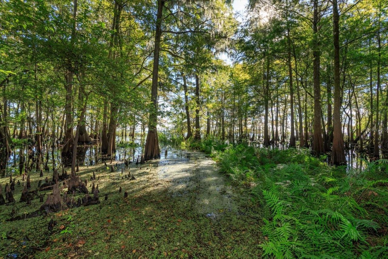 583 Winona Drive, Geneva, FL 32732 Photo