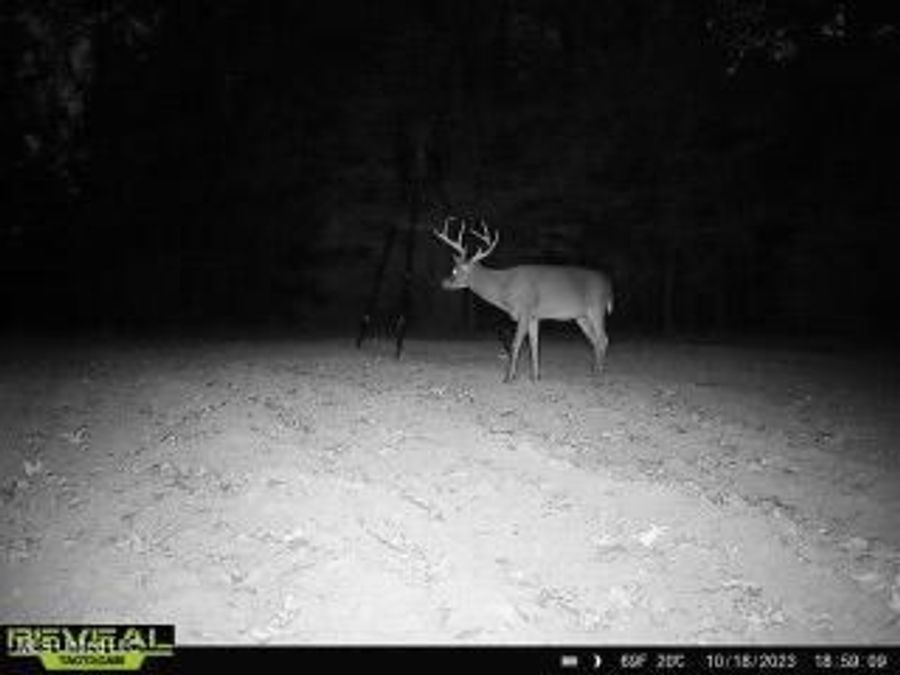 Property Image 41