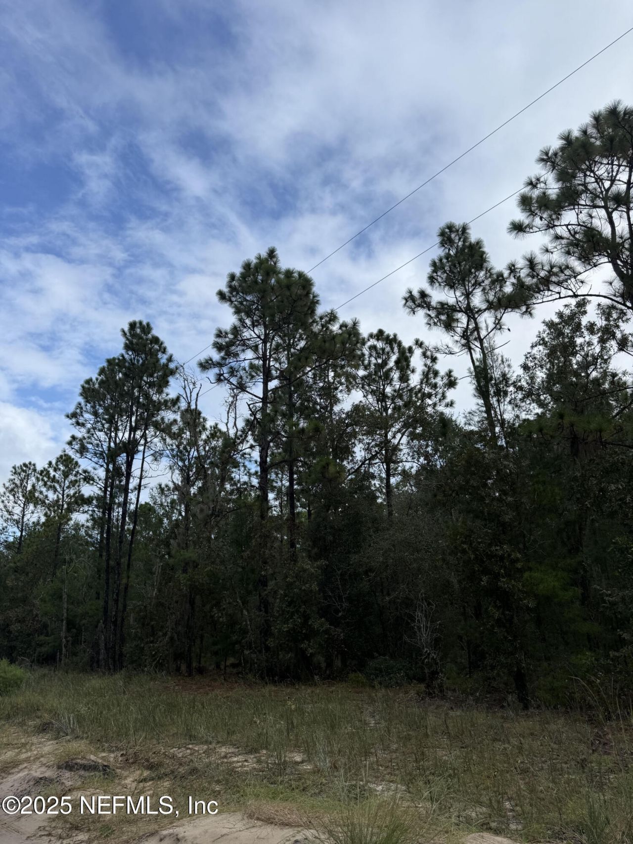 5830 Campo Drive, Keystone Heights, FL 32656 Main Photo