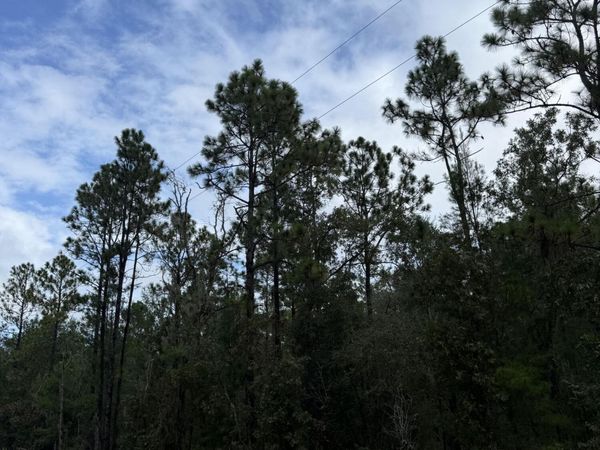 5830 CAMPO Drive, Keystone Heights, FL 32656