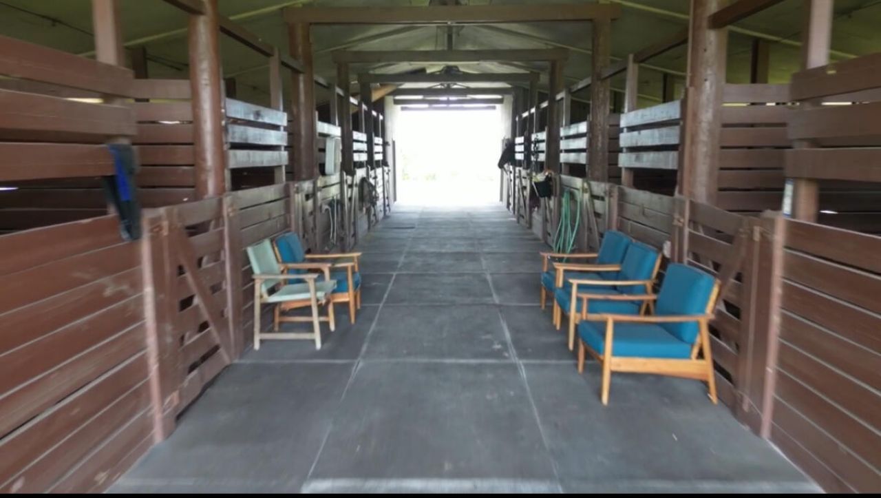 16098 Deer Path Lane, Wellington, FL 33470 Photo