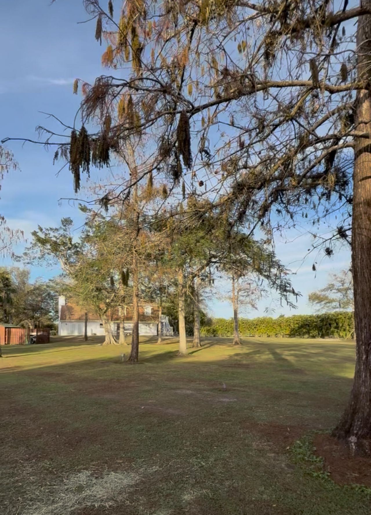 16098 Deer Path Lane, Wellington, FL 33470 Photo