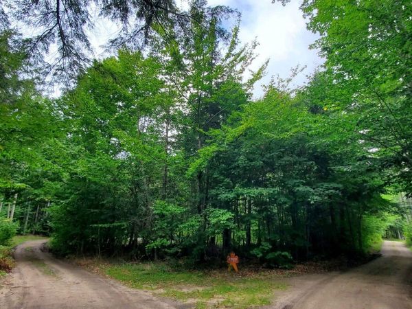 TBD N Summer Homes Road, Au Train Twp, MI 49806