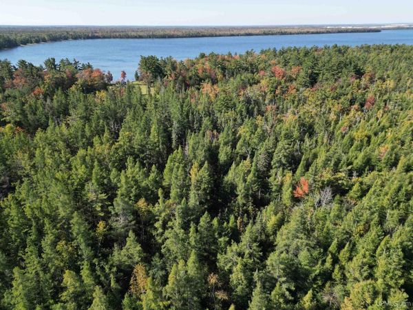 0 Champ Elysees Road, Newton Twp, MI 49838