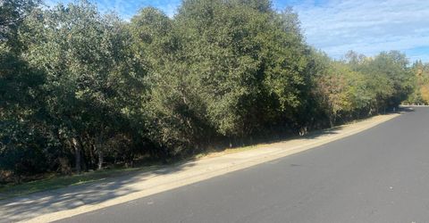 119 Flat Rock Dr, Folsom, CA 95630 Photo