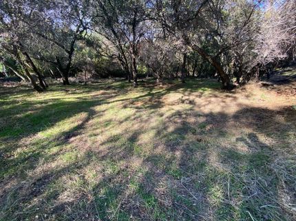 119 Flat Rock Dr, Folsom, CA 95630 Photo