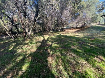 119 Flat Rock Dr, Folsom, CA 95630 Photo