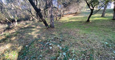 119 Flat Rock Dr, Folsom, CA 95630 Photo