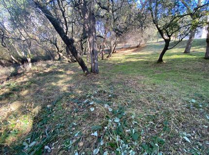 119 Flat Rock Dr, Folsom, CA 95630 Photo