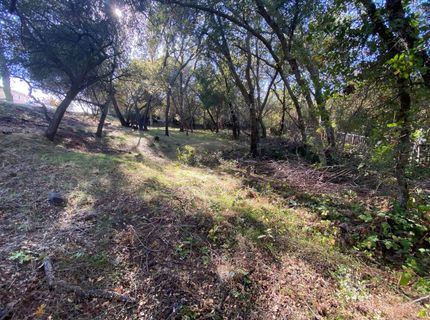 119 Flat Rock Dr, Folsom, CA 95630 Photo