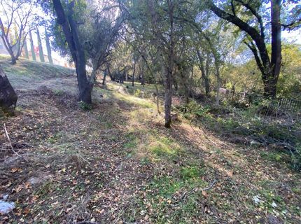 119 Flat Rock Dr, Folsom, CA 95630 Photo