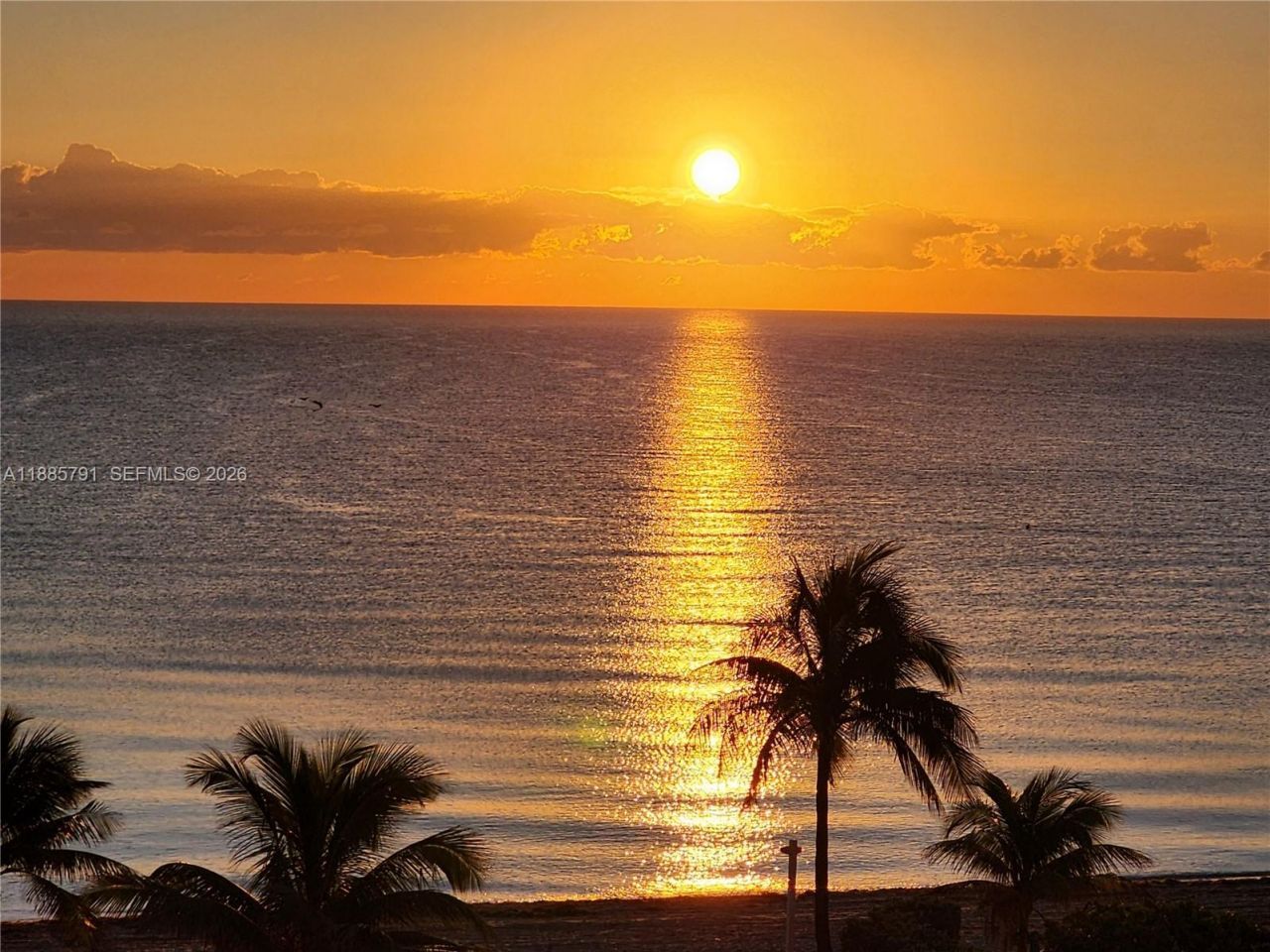 2030 S Ocean Dr, Unit 1218, Hallandale Beach, FL 33009 Photo