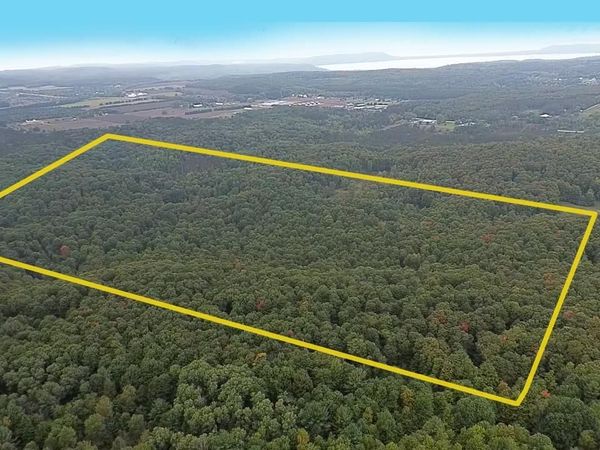 Fritz Road S, Empire, MI 49630