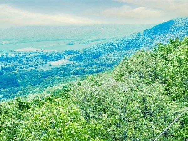 0 157 Highway, Menlo, GA 30731