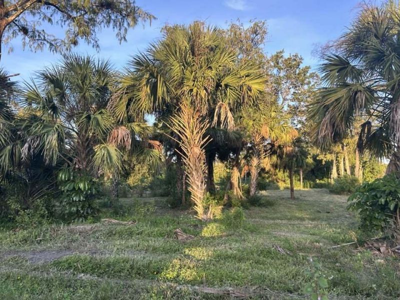 14439 Collecting Canal Road, Loxahatchee Groves, FL 33470 Photo