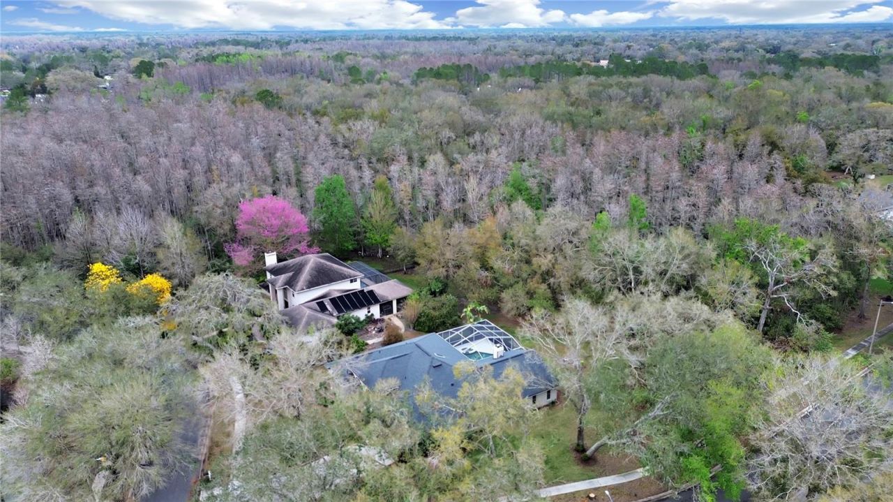 17307 Oak Ledge Drive, Lutz, FL 33549 Photo