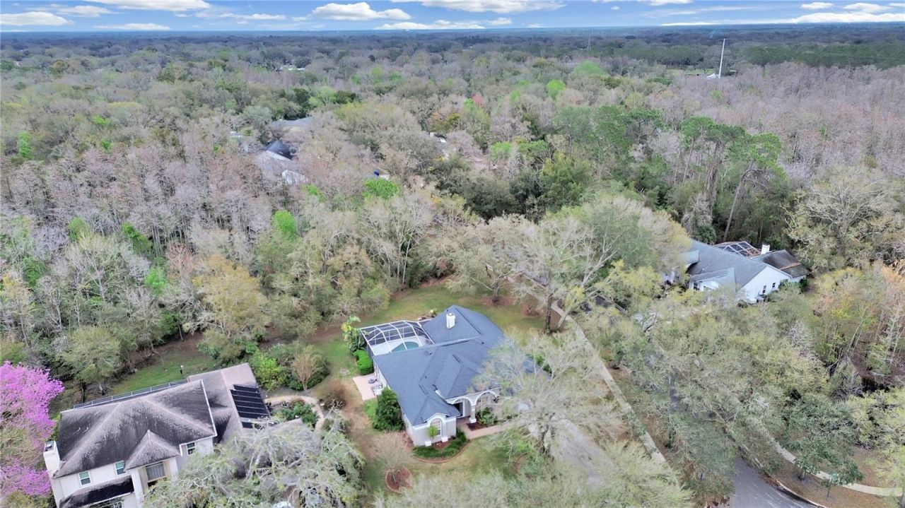 17307 Oak Ledge Drive, Lutz, FL 33549 Photo
