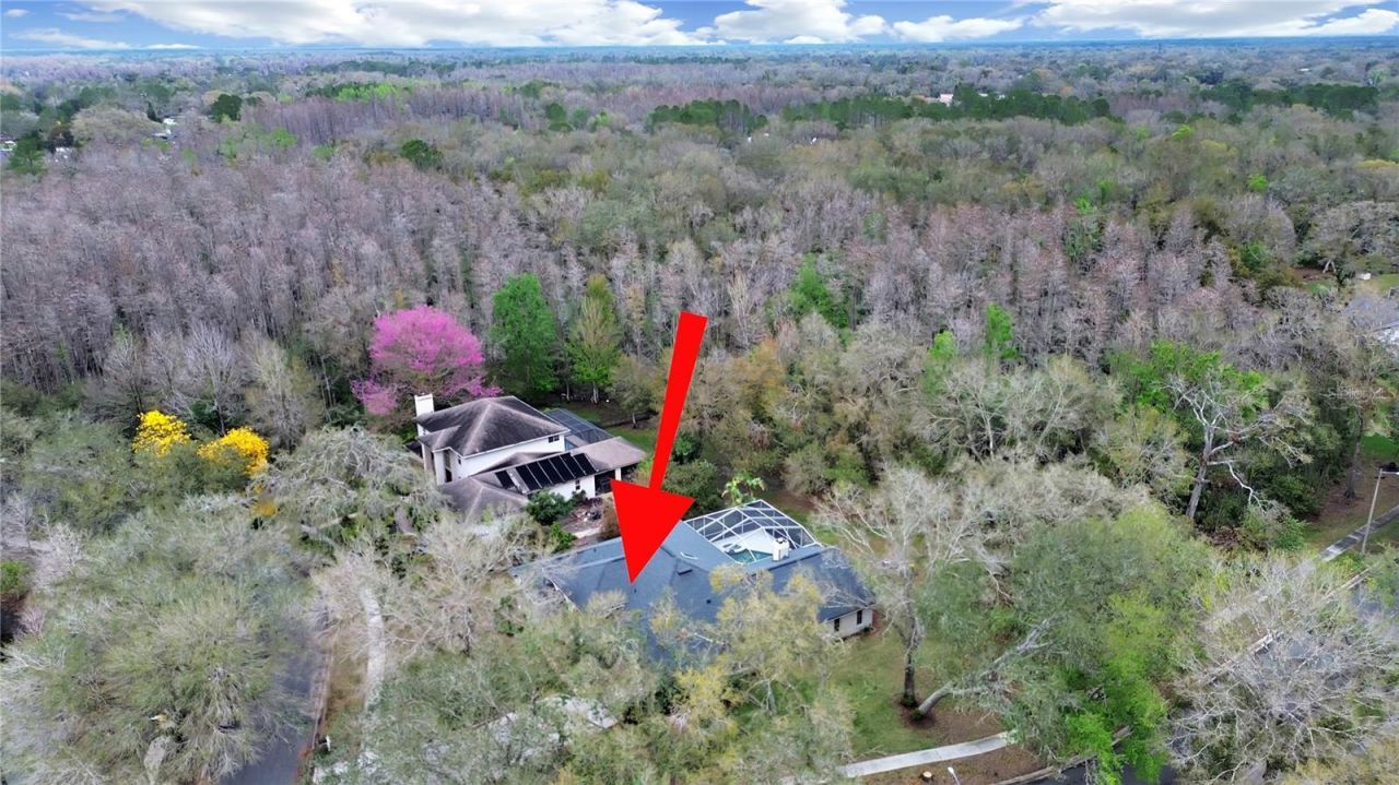 17307 Oak Ledge Drive, Lutz, FL 33549 Photo