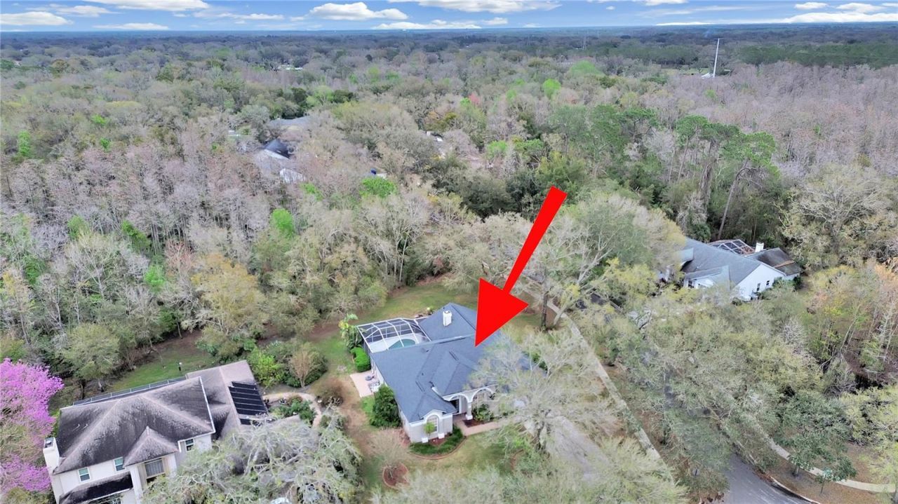 17307 Oak Ledge Drive, Lutz, FL 33549 Photo