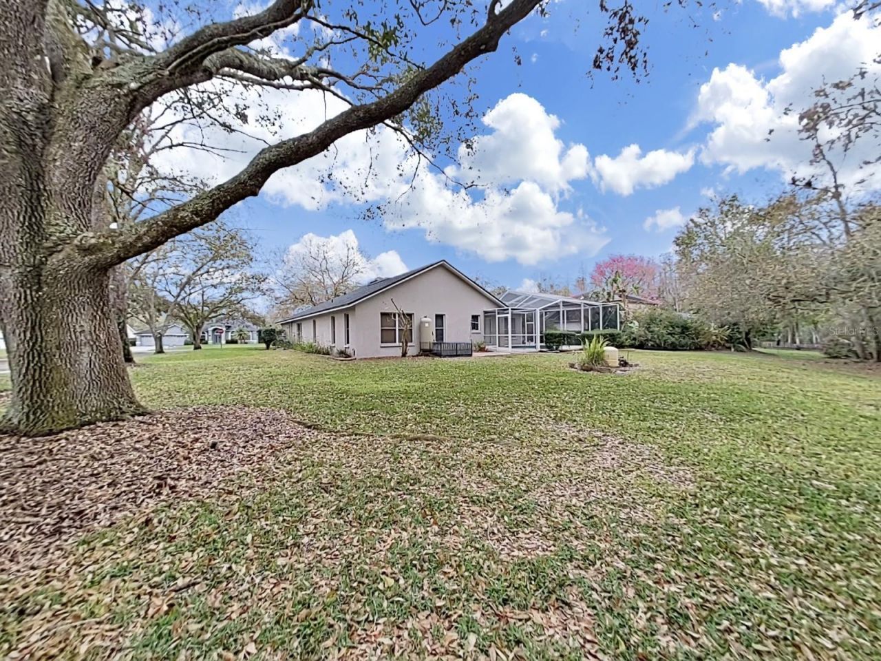 17307 Oak Ledge Drive, Lutz, FL 33549 Photo