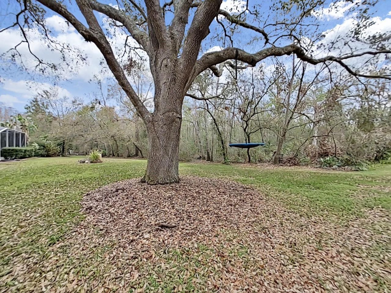 17307 Oak Ledge Drive, Lutz, FL 33549 Photo