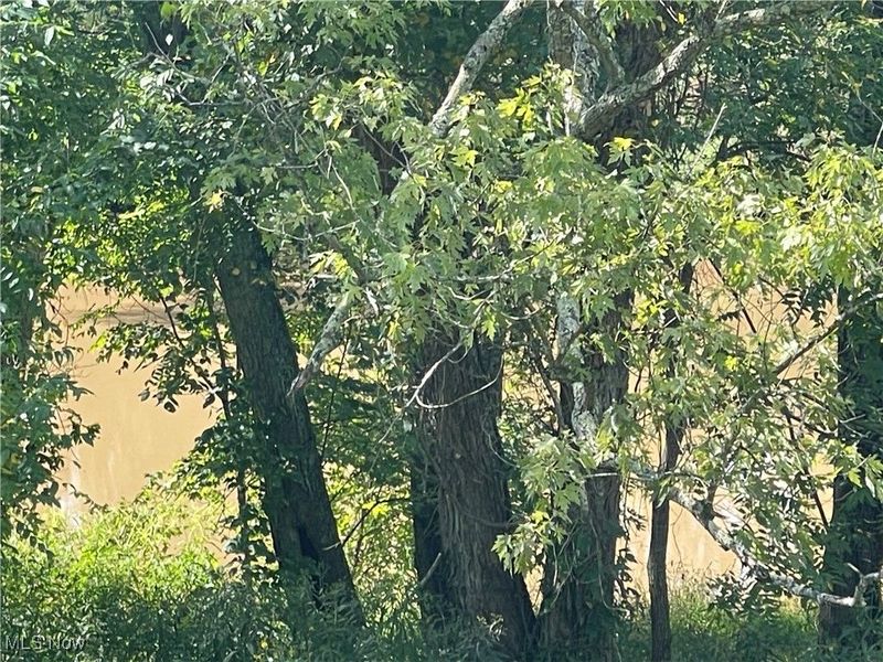 765 Hannaman Lane, Elizabeth, WV 26143 Photo 3