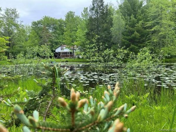 792 Briggs Highway, Ellenville, NY 12428