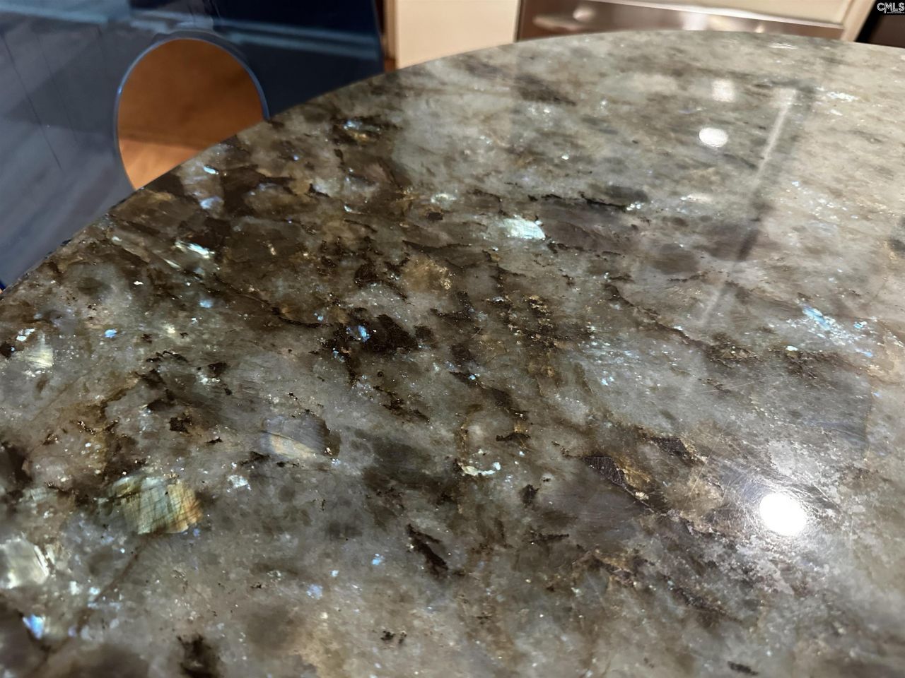 203 Holly Ridge Lane Photo 22