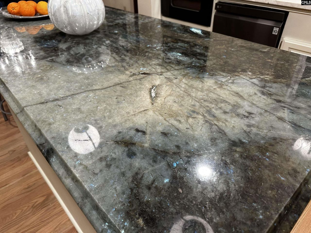 203 Holly Ridge Lane Photo 23