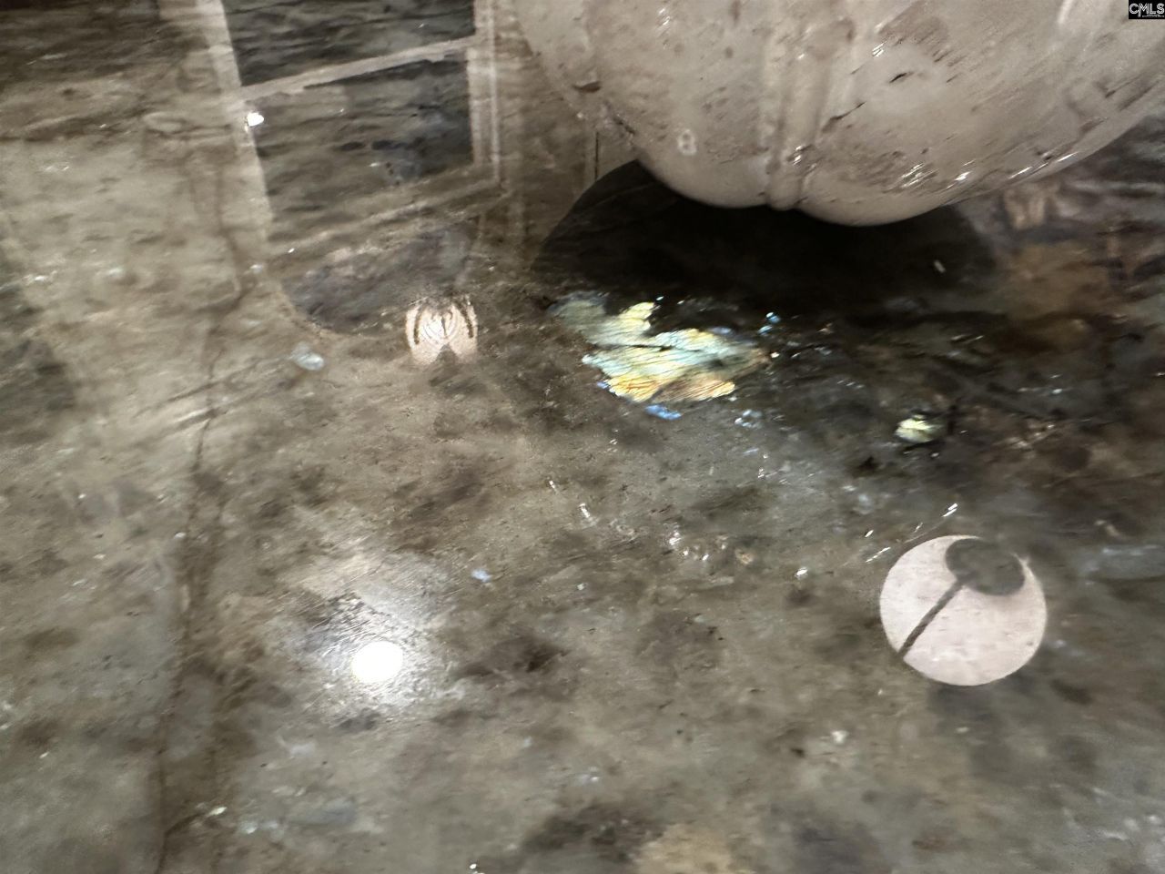 203 Holly Ridge Lane Photo 25