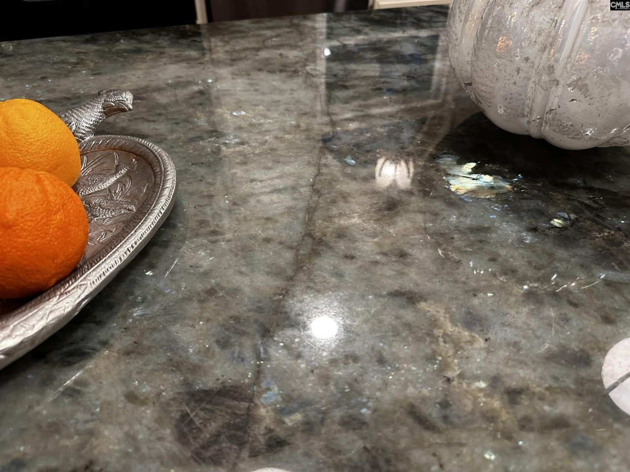 203 Holly Ridge Lane Photo 26