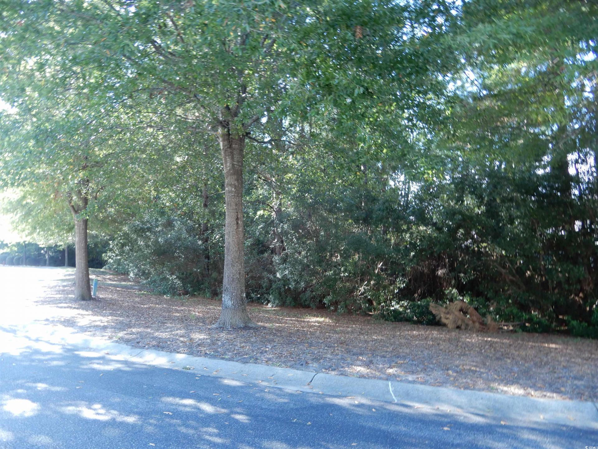 411 Seabert Rd. Photo 18