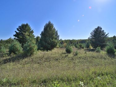 TBD Partridge Court, Browerville, MN 56438