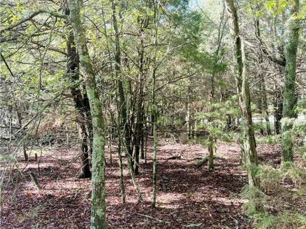 Lot 60 Lodge Drive, Garfield, AR 72732