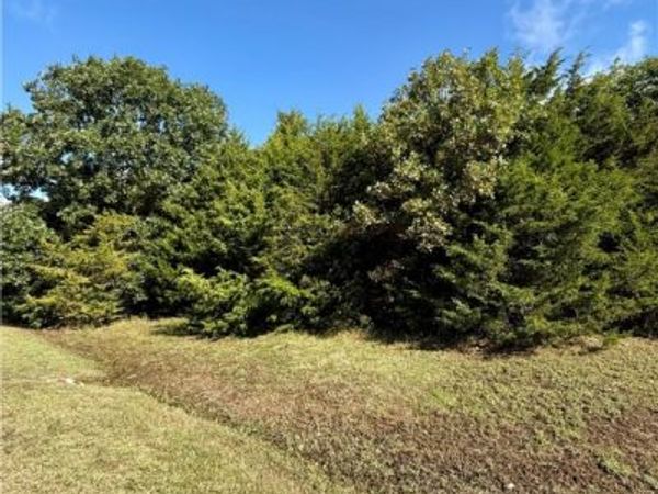 Lot 60 Lodge Drive, Garfield, AR 72732
