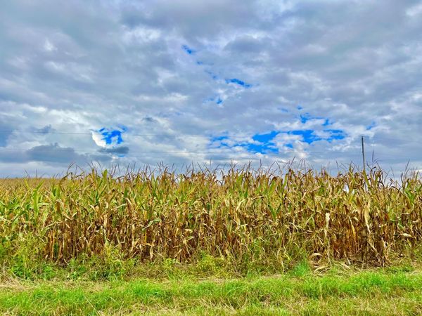 0 Crampton Road, Hillsdale, MI 49242