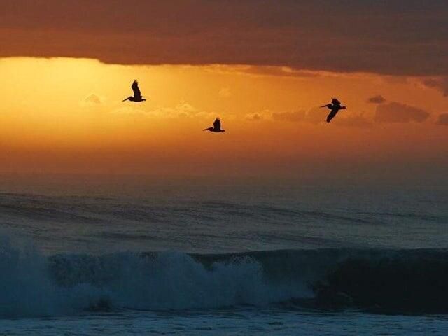 620 Horizons W, Unit 201, Boynton Beach, FL 33435 Photo