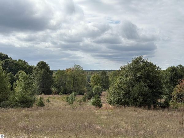 7267 Snyder Road S, Fife Lake, MI 49633