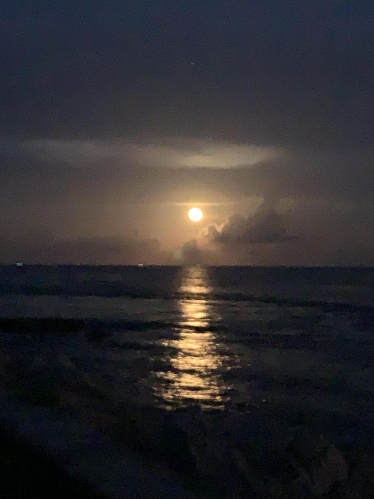 2324 23rd Court, Unit 55d, Jupiter, FL 33477 Photo