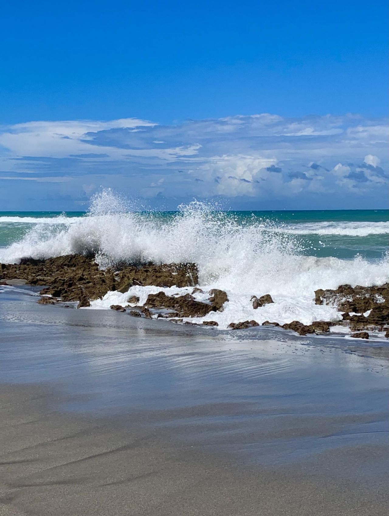 2324 23rd Court, Unit 55d, Jupiter, FL 33477 Photo